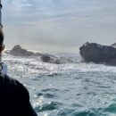 Our connection with nature is elemental